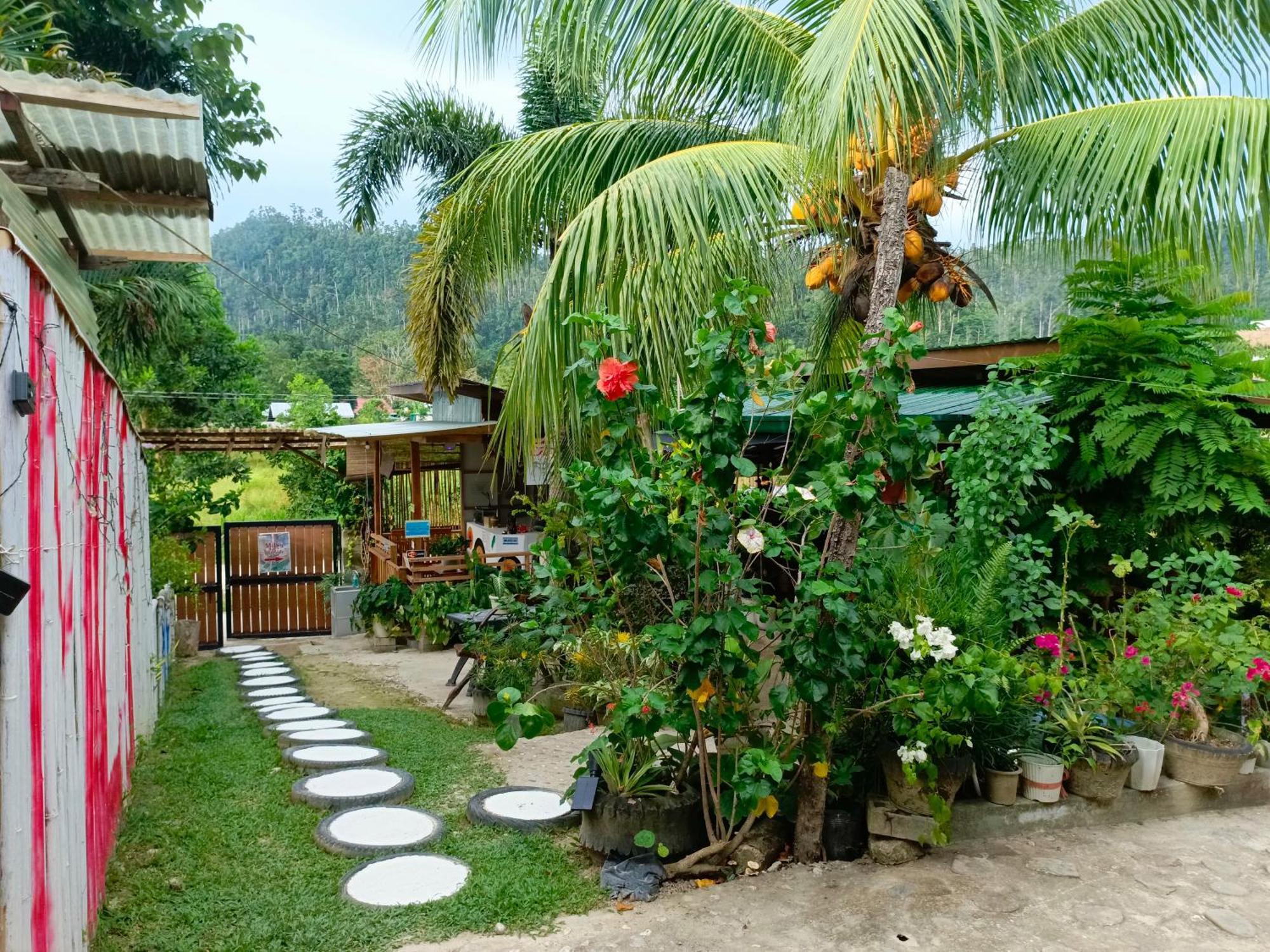 Mil'S Hillside Tourist Inn Сан Висенте Екстериор снимка